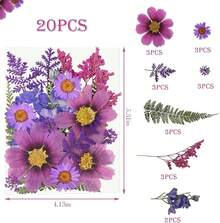 20Pcs Pressed Flowers Resin Molds Real Natural Pressed Flowers Art Crafts,Candle Making, Nails Décor,Soap Making, Phone. - 紫色乾燥花 03 - 查看 12