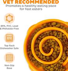 Local Delivery- Outward Hound Fun Feeder Slo Bowl, Slow Feeder Dog Bowl, Medium/Mini, Turquoise - 橘色 - 查看 4