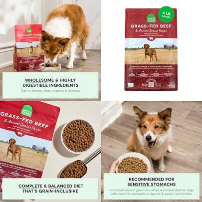 Ancient Grains Dry Dog Food ProteinRich Nutrient Dense 90 Animal Protein Mixed With NonGMO Fruits Veggies And Superfoods GrassFed Beef Recipe 4lb Bag