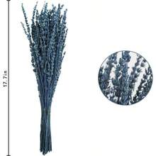 12Pack Dried Lavender Flowers Bundles, 16" Dried Blue Flowers Preserved Lavender Stems  For Shower Weeding Ome Fragran Vase Crafts Decor, 600g(21oz)
