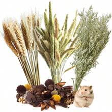 50-160pcs Christmas Decorations Hala Tool Hamster Moss, 100% Natural Moss Suitable For Rabbits, Squirrels, Hamsters, Guinea Pigs And Other Small Animals, Used As Pet Cage Accessories, Terrarium, Reptiles, Plant Room Decor