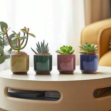 SRGTDH 2.5 Inch Small Ceramic Succulent Planter Pot With Drainage Hole Set Of 12, Ice Crack Glaze Plant Container For Cactus, Plant Lover Gifts For Women Mom Aunt Home Office Decor