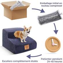 Scale e gradini per cani