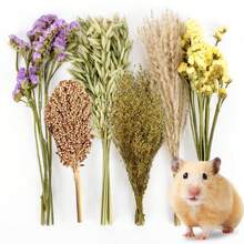 50/100 Pcs/Set Christmas Decoration, PINVNBY Natural Flower & Herbs Hamster Bedding Habitat Decor, Hamster Spray, Hamster Cage Accessories, Dwarf Hamster, Mice, Small Rodent (Grain Version) Room Decor/Ornament