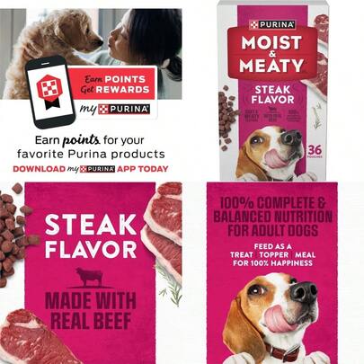 Purina Moist And Meaty Steak Flavor Soft Dog Food Pouches 36 Ct. Pouch
