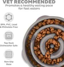 Local Delivery- Outward Hound Fun Feeder Slo Bowl, Slow Feeder Dog Bowl, Medium/Mini, Turquoise - xám - Xem 6