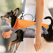 Nouveau sac à dos portable pour animaux de compagnie, sac à main pour chat avec laisse, vêtements pour petits chiens