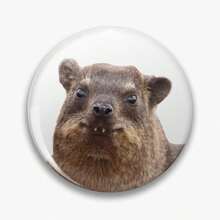 44mm Hyrax 1.7inch Pins Broach DIY Buttons Snap-In Craft - Grey - View 1