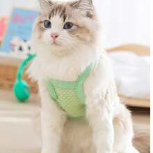 3D Floral Harness Leash For Small Dogs, Stylish Outfit For Pets Like Pooches And Kittens, Suitable For Spring And Summer