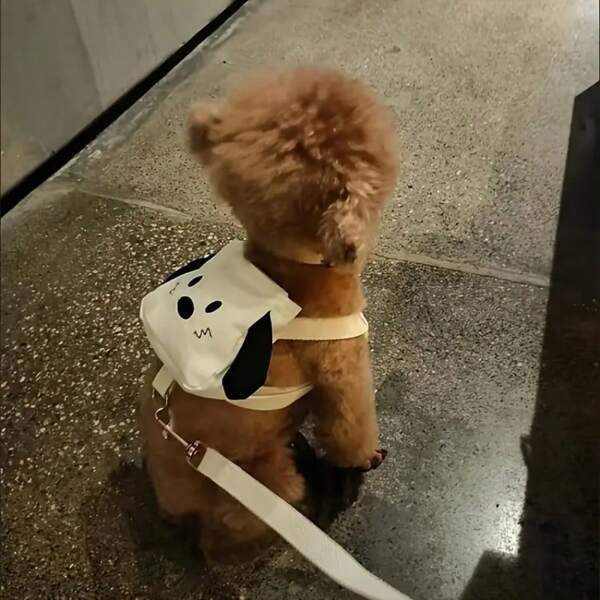 Korean Style Pet Backpack, Cute Cartoon Dog Leash For Teddy, Poodle, Small Dogs And Cats