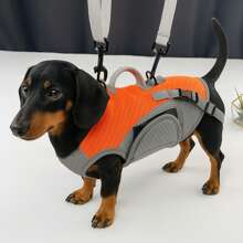 Nouveau sac à dos portable pour animaux de compagnie, sac à main pour chat avec laisse, vêtements pour petits chiens