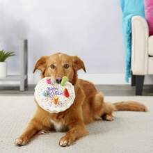 iDestry Hundekuchen Spielzeug aus weichem Plüsch mit quietschenden, bunten Kerzen, strapazierfähiges, Lustiges Kaukuscheltier für große Hunde-Rassen als Geburtstaggeschenk mit Halstuch