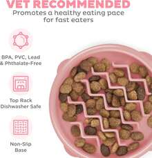 Local Delivery- Outward Hound Fun Feeder Slo Bowl, Slow Feeder Dog Bowl, Medium/Mini, Turquoise - Màu ngọc lam - Xem 2