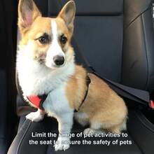 Pet Seat Belts - 黑色 - 查看 6