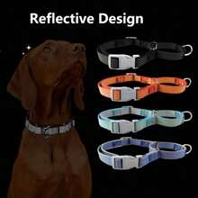 Ensemble de collier et laisse Gale pour chiens de taille moyenne et grande, fournitures pour animaux de compagnie