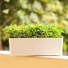 2 Pack Rectangular Planter 15.6 X 5.4 In Self Watering Window Sill Planters Indoor Rectangle Planter Self Watering Plastic Plant Pots With Drainage Holes White Flower Pot - 1 - Xem 7