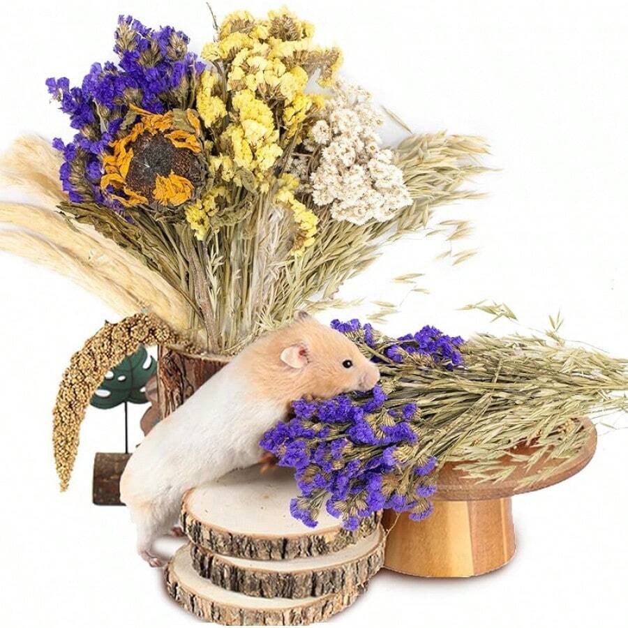 50-160pcs Christmas Decorations Hala Tool Hamster Moss, 100% Natural Moss Suitable For Rabbits, Squirrels, Hamsters, Guinea Pigs And Other Small Animals, Used As Pet Cage Accessories, Terrarium, Reptiles, Plant Room Decor