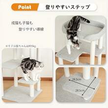 Diy Wooden Entertainment Products - 荷蘭天鵝絨 - 查看 7