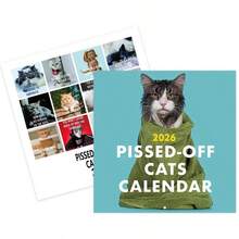 2026 Pissed-Off Cats Calendar - 12-Month Wall Calendar For Cat Lovers, Humorous Feline-Themed Funny Gift Planner Hanging