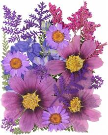 20Pcs Pressed Flowers Resin Molds Real Natural Pressed Flowers Art Crafts,Candle Making, Nails Décor,Soap Making, Phone. - 紫色乾燥花 03 - 查看 2