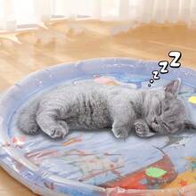 加厚宠物水感应游戏垫，2025新款猫咪感官水游戏垫，猫咪降温垫，猫狗通用水感应垫，凉爽舒适的充气游戏垫。