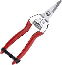 Pruning Tools - ก้มหัวลง - ดู 2