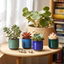 SRGTDH 2.5 Inch Small Ceramic Succulent Planter Pot With Drainage Hole Set Of 12, Ice Crack Glaze Plant Container For Cactus, Plant Lover Gifts For Women Mom Aunt Home Office Decor