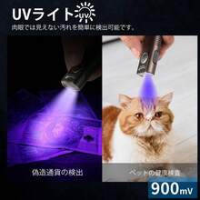 Flashlights & Torches