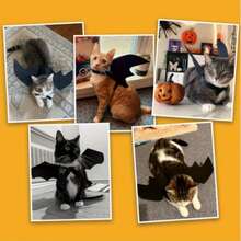 Adjustable Black Cat Bat Wing Pet Costume - Soft Polyester Halloween Pet Accessory, Suitable For Cats And Small Dogs, Great For Cosplay And Dressing Up Fun - Multicolor - View 6