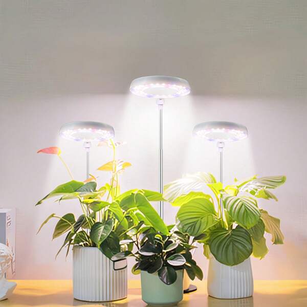 Yogle 1/2 包植物生长灯，6000K 白色 LED 全光谱生长灯，适用于室内植物、多肉植物、迷你盆景、小型植物，高度可调，可调光，带定时器 4/8/12/18 小时