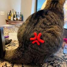 1 件愤怒发夹，创意新奇鸭嘴发夹，针织头饰侧边夹，送给女朋友的生日礼物 - 彩色 - 查看 5