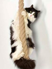 1 件壁挂式猫抓柱，配有粗剑麻绳、猫爬梯、壁挂式猫用互动游戏绳，非常适合室内猫娱乐、宠物活动中心、互动猫玩具、适合所有尺寸猫的猫墙爬系统
