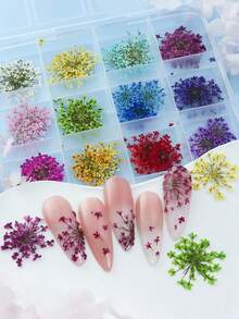 1盒/48件彩色3D干花美甲装饰 - DIY创意压花美甲用品，适合春夏季，女士充满活力的美甲配件