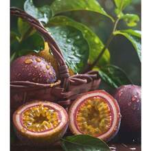 Seeds Gift 500pcs Passionflower Fruit Seeds High Germination For Balcony Planting - 100 Seeds - View 1