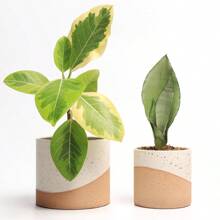 Ceramic Pots For Indoor Plants 2 Set Flower Pots 5.4 4.3 Inch With Drainage Double Color Glazed Led White And Terracotta Bottom Ceramic Planter Idea For Plant Lovers