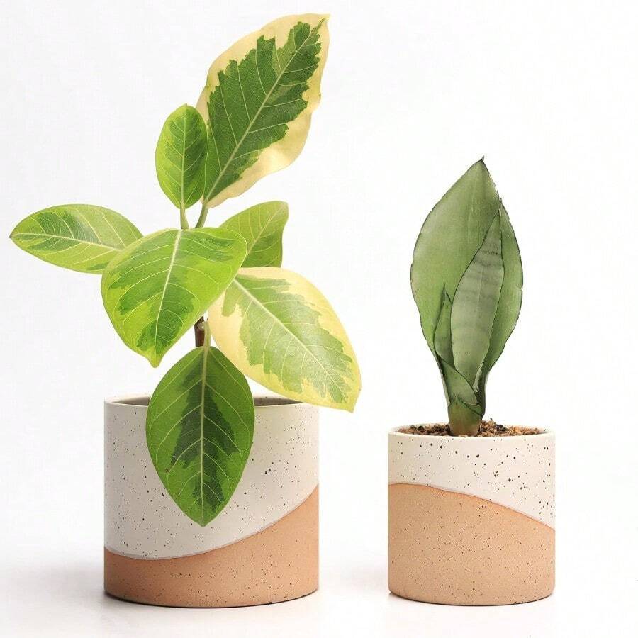 Ceramic Pots For Indoor Plants 2 Set Flower Pots 5.4 4.3 Inch With Drainage Double Color Glazed Led White And Terracotta Bottom Ceramic Planter Idea For Plant Lovers