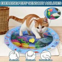 (1pc, 25.59in/39.37in) Upgraded Thicker Water Sensor Cat Toy Mat + Air Pump. Interactive Cool Comfortable Thicker Pet Water Sensitive Mat, Fish Water Sensitive Mat For Pet Play, Dual Charging PVC Pet Play Mat