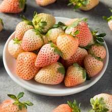 1000pcs Rare White Strawberry Seeds For Planting White Pineberry Strawberry Seeds - SEED - View 1