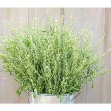 244 Pieces Wholesale 200 Perennial Seeds