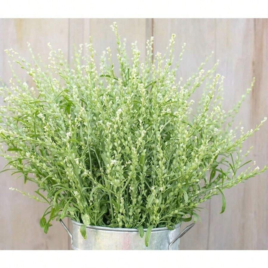 244 Pieces Wholesale 200 Perennial Seeds