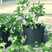 5/10 Pack Plant Pot Grow Bags Potato Fruit Vegetable Garden Planter Growing Bag - Black - View 5