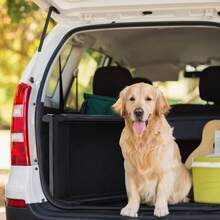 Rampa para perros para coche, vehículo para subir perros, ayuda para la entrada de mascotas 156x40 cm, escalera plegable para perros, hasta 60 kg, protege las articulaciones del perro
