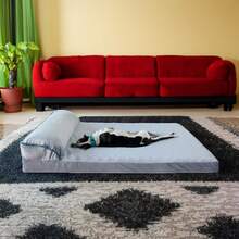 1 件套柔软狗床，带枕头，多种尺寸，适合中大型猫狗，四季皆宜，可拆卸和机洗 - 灰色 - 查看 6