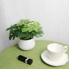 2 件人造龟背叶盆栽植物，6 英寸假龟背叶白色花盆，适合装饰书桌、家居、办公室架子，为生活增添美丽！