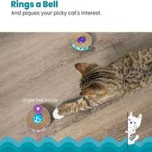 Catstages Easy Life Hammock Cat Lounger &Amp; Scratcher – Elevated Scratcher &Amp; Resting Spot For Cats, Comfortable &Amp; Multifunctional Design - Quay & Cào - Xem 4