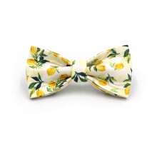 Customizable Polyester Pet Cat Bell Collar, With Customizable Names And Phone Numbers, As Well As Optional Bows And Leashes, Suitable For Party Occasions And Festivals,Cat Gift - Multicolor - View 23