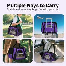 Secure Zipper Anti-Escape Pet Carrier Backpack | Spacious Ventilated Foldable Cat/Dog Travel Bag | Car & Airline Approved Collapsible Cage With Breathable Design - Màu tím - Xem 2