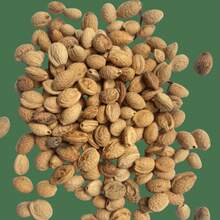 Together, Cherry Suitable For Planting Rare Japanese Cherry Blossom Tree Seeds In Bonsai