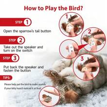 1 件随机颜色猫玩具，互动逼真的知更鸟飞翔和飘动猫薄荷，羽毛用弹力绳悬挂，自动鸣叫小猫玩具，适合室内猫自玩麻雀鸟设计宠物毛绒玩具可咀嚼耐用猫吱吱叫玩具，适合猫和狗互动供应宠物仿真鸟毛绒玩具带声音 - 棕色 - 查看 7