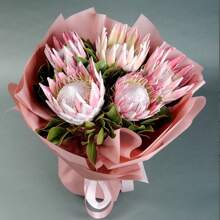 Color Mix 100 Pieces Heirloom Protea Flower Seeds For Indoor And Outdoor Planting - Decorative Large Flowers Garden Seeds, Non-GMO - 1Pack - 查看 1